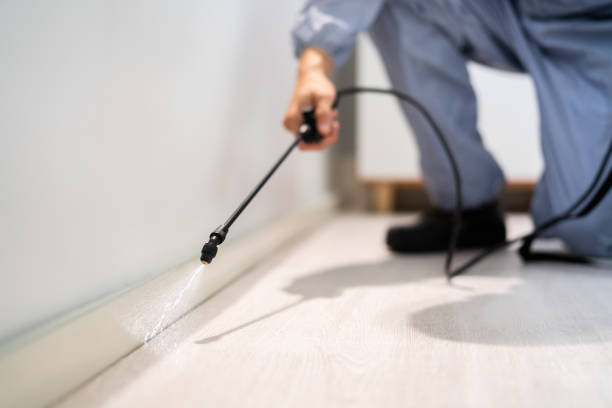 Licensed Fumigation Services service in Providence, RI - Nex Pest Control