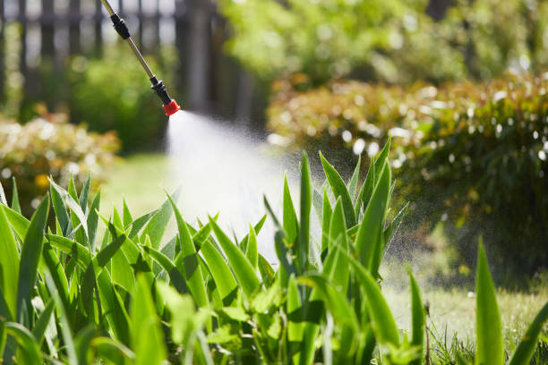24/7 Emergency Fumigation Services experts in Providence, RI