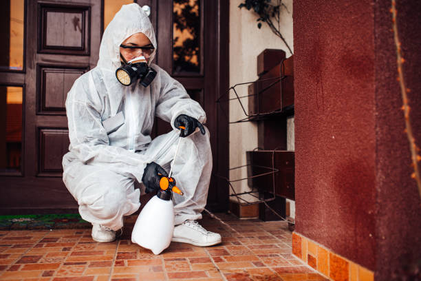 Reliable Fumigation Services contractor in Providence, RI by Nex Pest Control